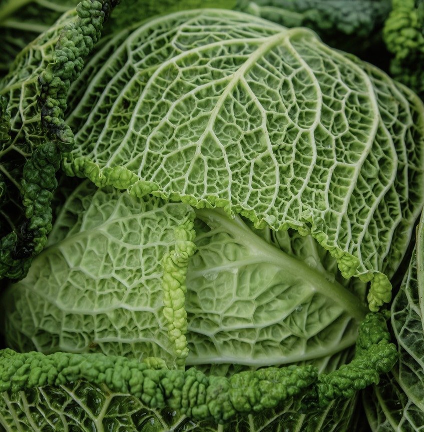 Consultation en nutrition intégrative à Morges